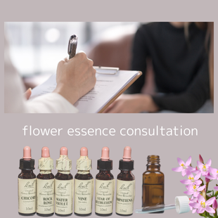 フラワーエッセンス講座のイメージ
